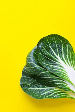 Kaka choy, pak choi ya da sarı kağıtta Çin lahanasından yapılmış yaratıcı bir düzen. Düz yatıyordu. Yemek konsepti. Boşluğu kopyala.