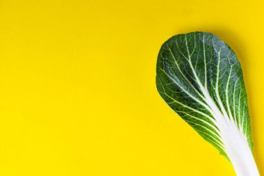 Sarı arka planda Çin lahanası, Çin lahanası ya da Çin choy 'undan yapılmış yaratıcı bir düzen. Düz yatıyordu. Yiyecek konsepti.