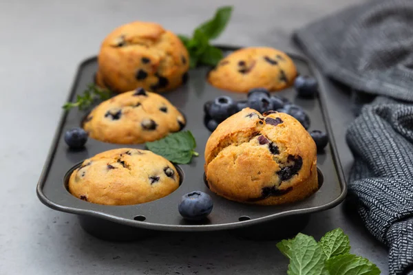 Muffins aux myrtilles fraîchement cuits avec du thym et de la menthe dans une boîte à muffins. Fond en pierre grise. — Photo