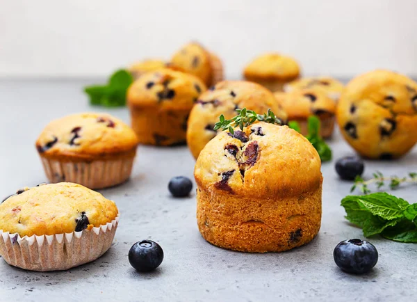 Fresco caseiro deliciosos muffins de mirtilo decorados com tomilho, bagas frescas e hortelã em fundo de concreto cinza. — Fotografia de Stock