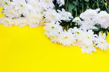 Sarı arka planda beyaz kasımpatı. Sonbahar çiçekleri. Çiçek arkaplanı. Düz yatıyordu. Boşluğu kopyala.