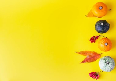 Balkabaklarından, sonbahar yapraklarından ve böğürtlenlerden oluşan yaratıcı düz sonbahar kompozisyonu. Uzayı kopyala Sonbahar hasadı için davetiye şablonu, Şükran Günü, Cadılar Bayramı.