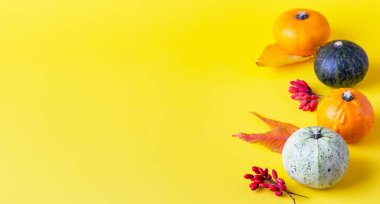 Balkabaklarından, sonbahar yapraklarından ve böğürtlenlerden oluşan yaratıcı sonbahar kompozisyonu. Uzayı kopyala Sonbahar hasadı için davetiye şablonu, Şükran Günü, Cadılar Bayramı.