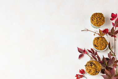 Sağlıklı vejetaryen ev yapımı havuç veya kuru üzüm ve fındıklı balkabaklı kek, açık beton arka plan.