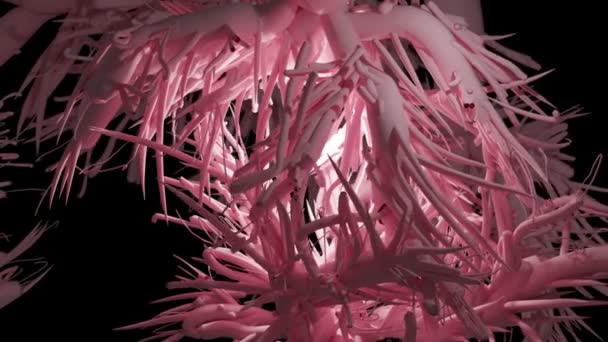 Terminaisons nerveuses ou cellules nerveuses 