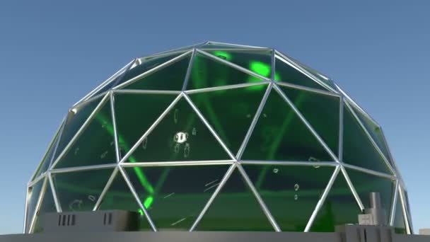 阳光下的生物穹顶建筑 Cgi — 图库视频影像