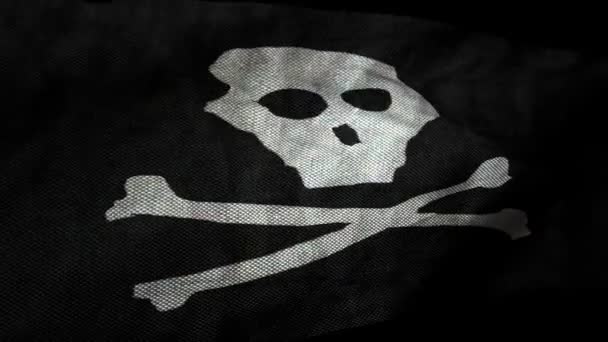 Piraat Vlag Animatie Jolly Roger — Stockvideo