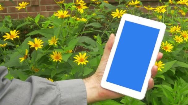 Tablet Dispositivo Com Uma Tela Chave Capaz — Vídeo de Stock