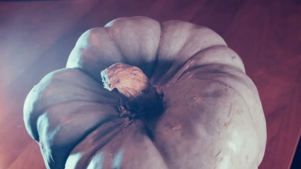 Zucca Unica Strana — Video Stock