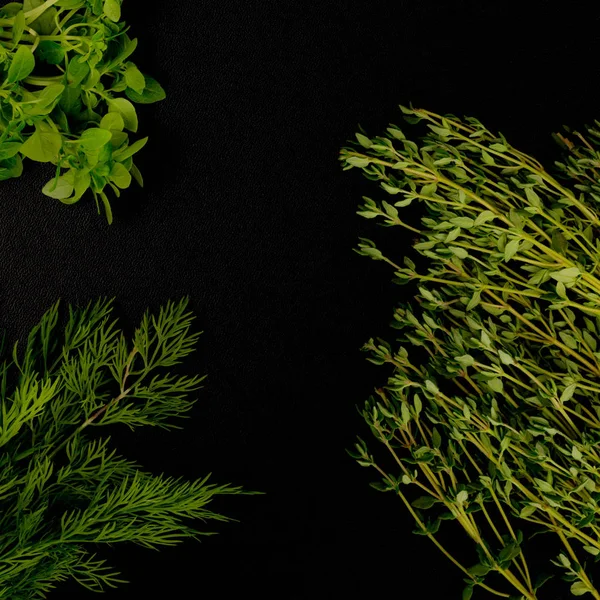 Selection of Fresh Herbs — Stock Photo, Image