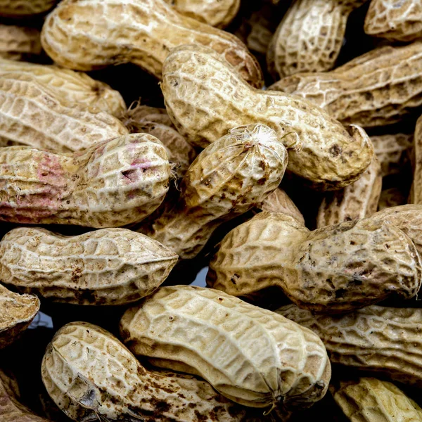 A pile of fresh peanuts — Stock Photo, Image