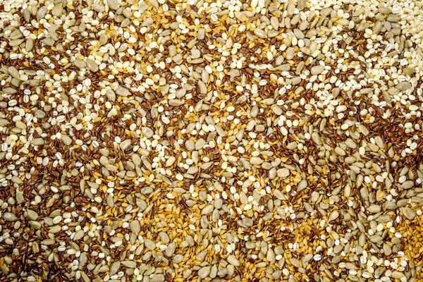 精选棕色亚麻籽金林籽珍珠大麦和太阳 — 图库照片