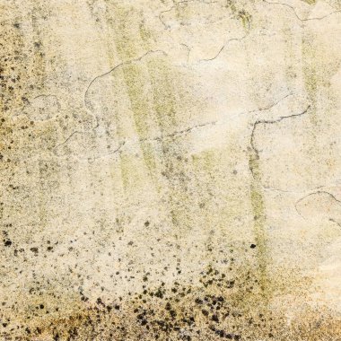 Taş veya Kaya Levhalarında Doğal Grafik Desenleri