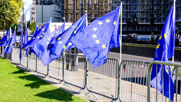 Public Protests About BREXIT and The UK Leaving the EU — Stock Photo, Image