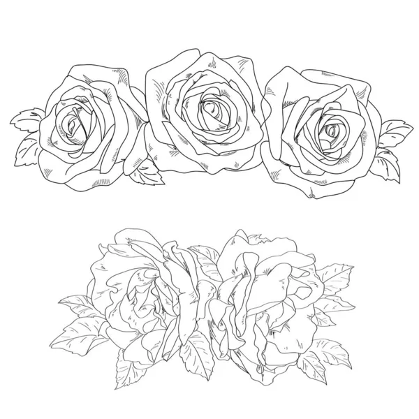 Set Sketch Roses — Stock Vector