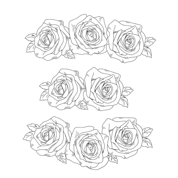 Set Sketch Roses — Stock Vector