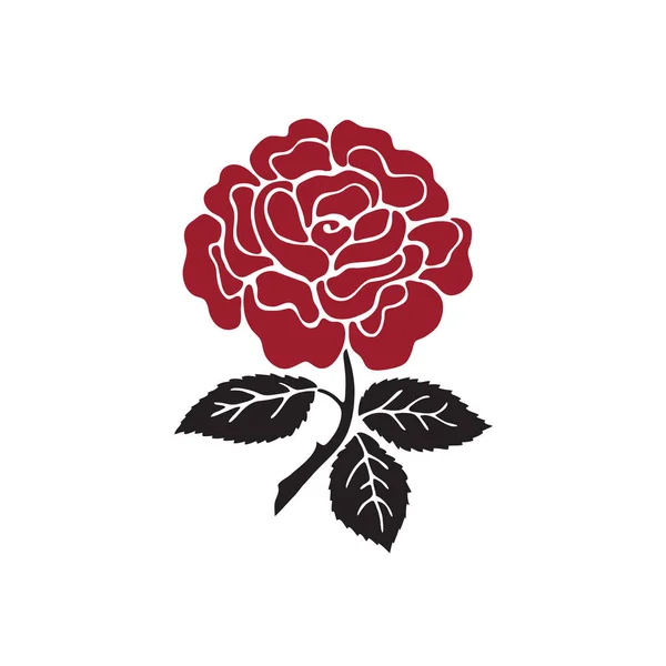 Rosa Roja Sobre Blanco — Vector de stock