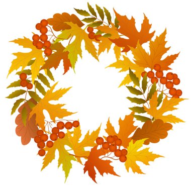 Yaprakları, otları, meşe palamutları ve viburnum meyveleriyle dolu renkli bir sonbahar çerçevesi.