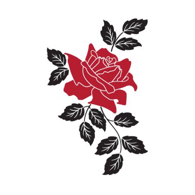 Beyaz üzerine kırmızı gül