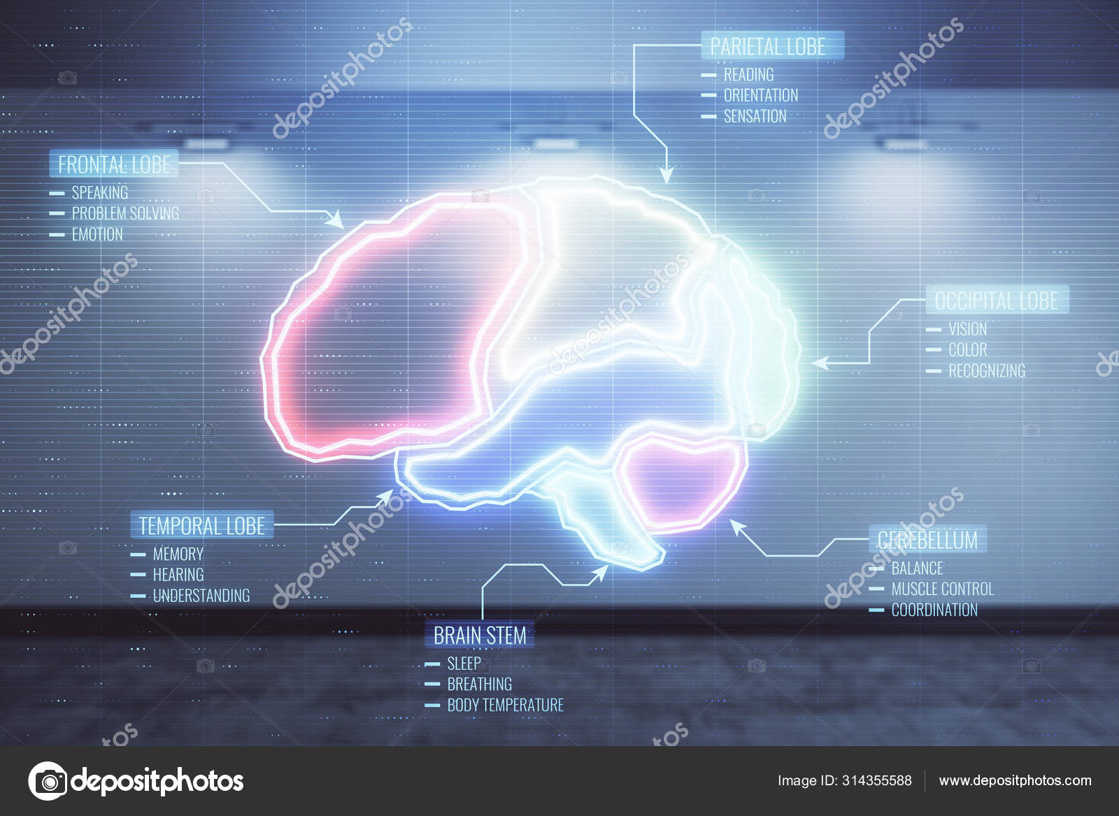 Double Exposure Of Brain Icon Hologram On Empty Room