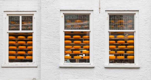 Typical Dutch Cheese Shape Yellow Color — Stock Photo, Image