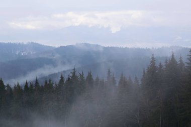 Orman ve yatay görünümünde sis ile kışın Dağları