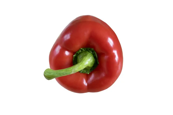 红辣椒 在白色空白背景查出的辣椒粉 — 图库照片