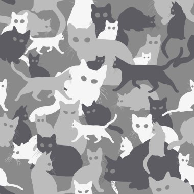kedi ile sorunsuz kamuflaj