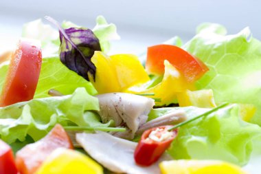  taze bahar salatası sebze üzerinden