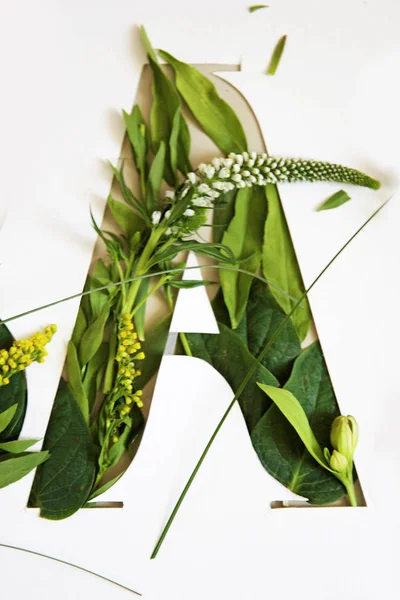 mektup yeşil çim ve çiçek