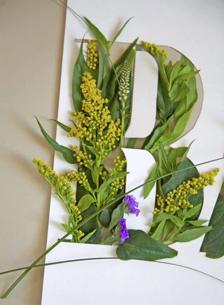 mektup yeşil çim ve çiçek