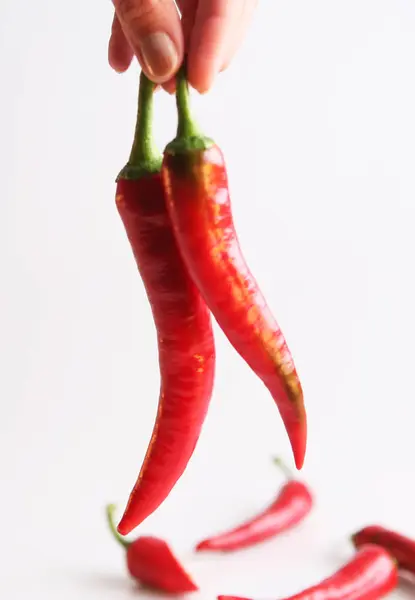 sıcak kırmızı biber. Beyaz arka plan üzerinde Şili