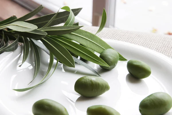 zeytin, zeytin dalı, zeytin ağacı, zeytin yağı, yağ, yaz, Güneş, yeşil zeytin, siyah zeytin