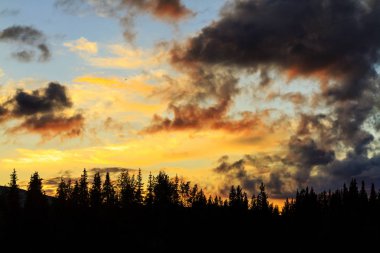 sıcak gece ormanda ve akşam bulutlar