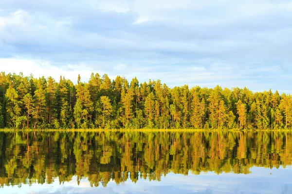 照らされた木々 と太陽 夏の風景を湖に反映されます — ストック写真