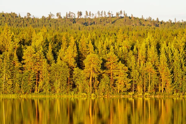 Lugar de poder bosque de coníferas y lago —  Fotos de Stock