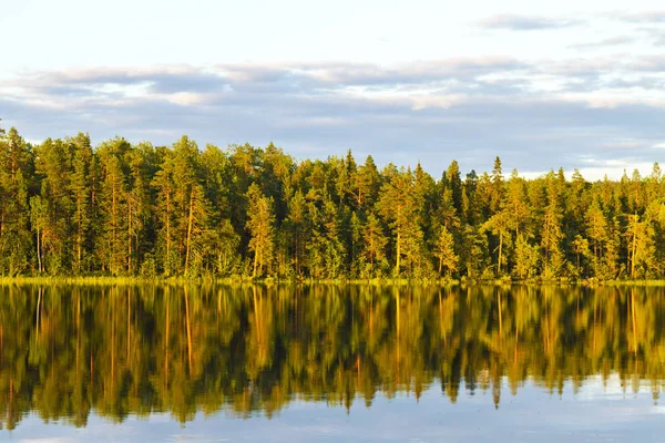 Прекрасный Дикий Лес Озеро Теплым Солнцем Летний Пейзаж — стоковое фото