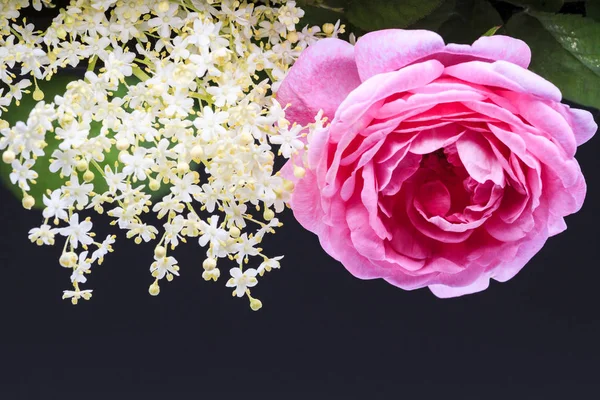 Ροζ Και Δαντέλα Των Λευκών Λουλουδιών Ένα Μαύρο Φόντο Λουλούδια — Φωτογραφία Αρχείου