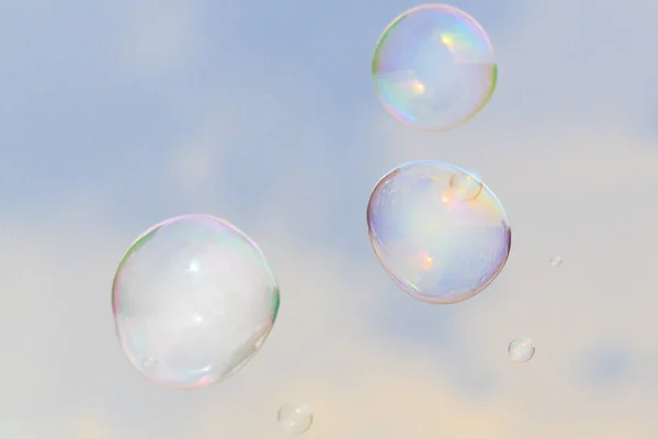 Sabun köpüğü sinek gökyüzüne, yaz tatili