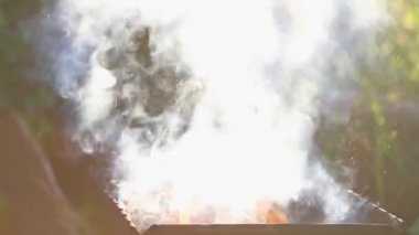 Adam bir Barbekü, patates kızartması kızarmış sosis