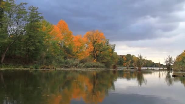 Platz für Herbstangeln, Fluss und Wald — Stockvideo