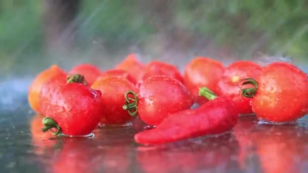 Κόκκινες ντομάτες και αλατοπιπερώνουμε πλένονται με νερό — Αρχείο Βίντεο