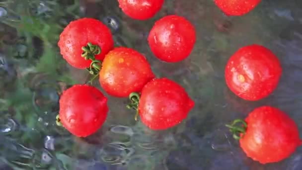 Красные помидоры поливают на стеклянном столе — стоковое видео