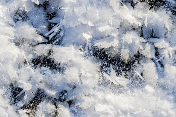 Doku ve desenler, kar taneleri — Stok fotoğraf
