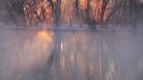 Winter mist over de rivier bij zonsopgang — Stockvideo
