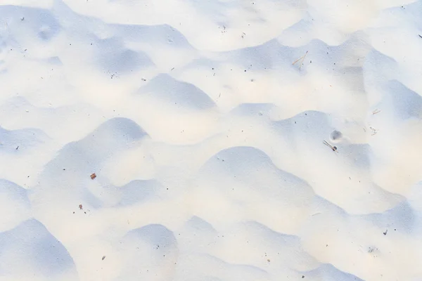 Textura de areia com plantas pequenas — Fotografia de Stock