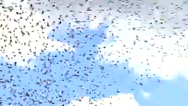 Les oiseaux fermèrent le ciel et volèrent rapidement 