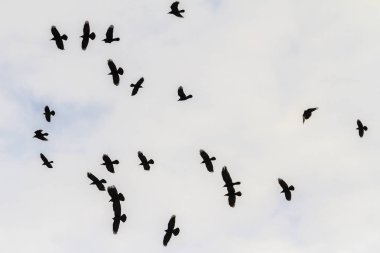 bulutlu gökyüzüne uçan kale