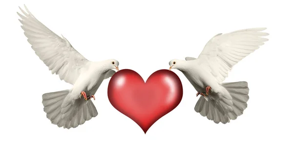 Любовь карты два белых голубей и сердце — стоковое фото