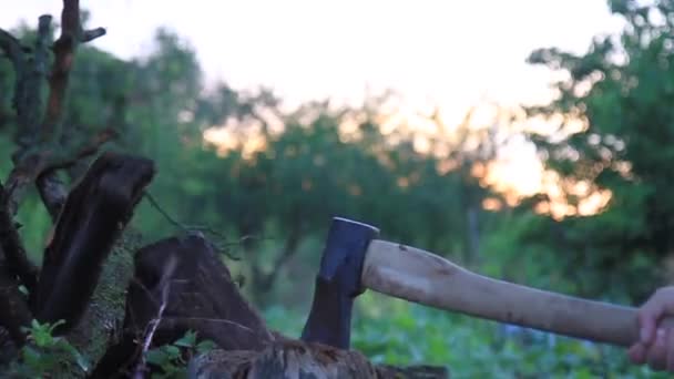 Hombre Corta Tronco Con Hacha Día Soleado — Vídeos de Stock